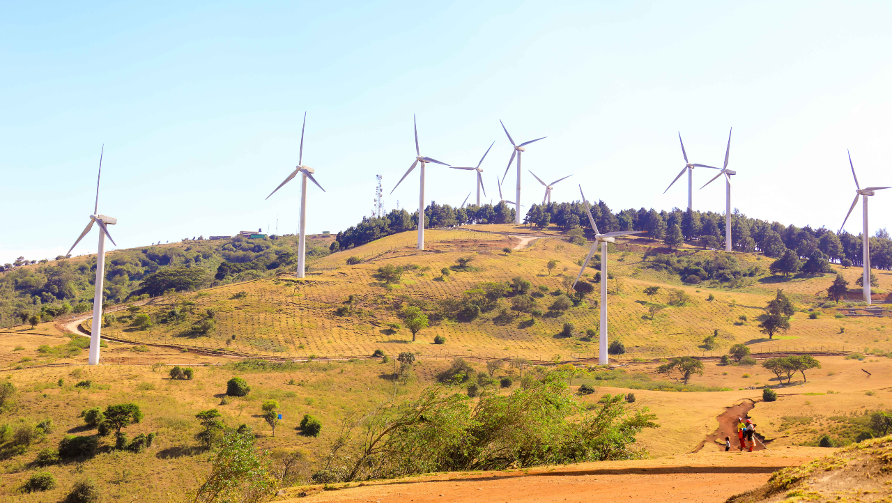 Wind turbines representing the State Department for Energy